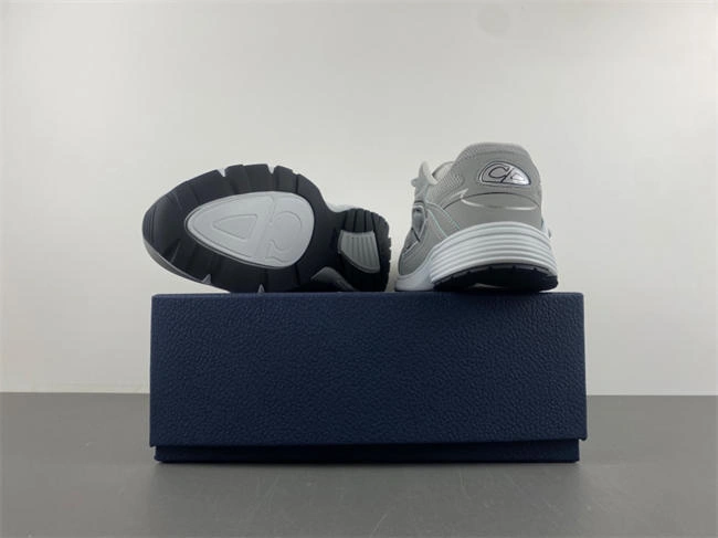 Dior 3SN279ZRBH Cozy 1004