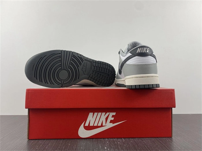 Nike Dunk Low Light Smoke Grey DD1503- Minimalist 4798