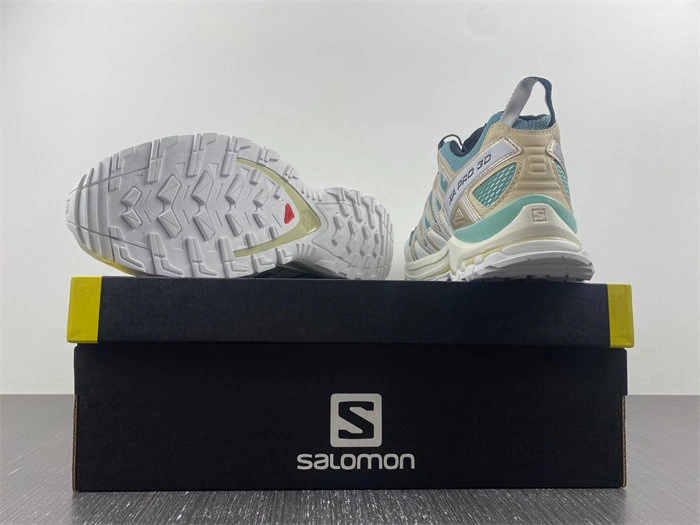 Premium Salomon XT-6 5962